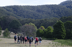 Low res image of a group of people wearing large hiking backpacks doing the Beeripmo walk