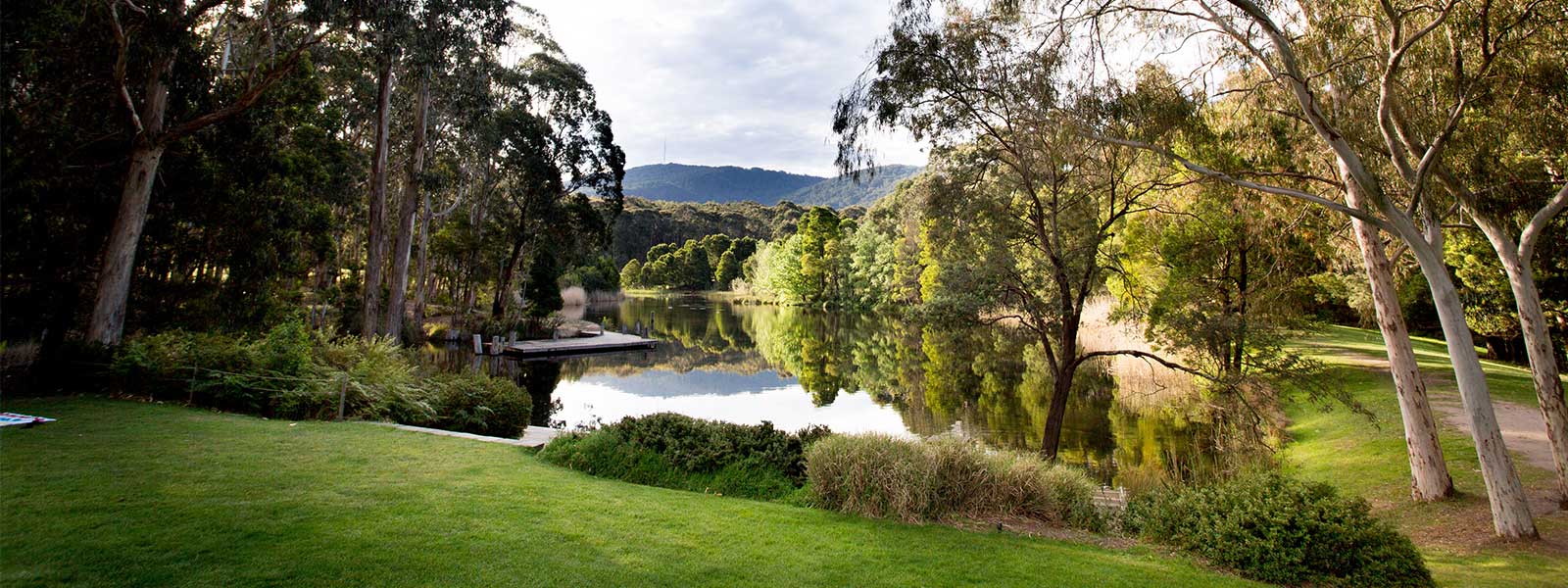Image of Cave Hill Creek and surrounding grassland and forest