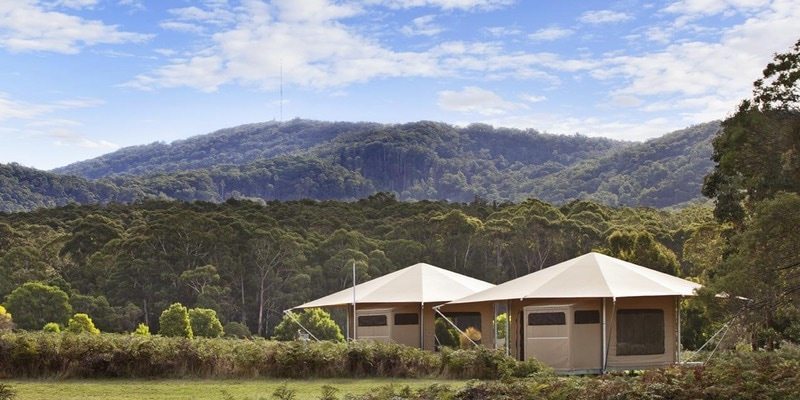Image of two beige clamping tents at Cave Hill Creek with tree covered hills in background