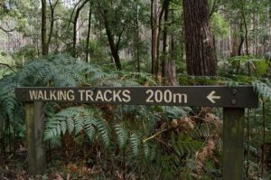 Close up image of 'walking tracks 200m' signage at the start of the Beeripmo walk