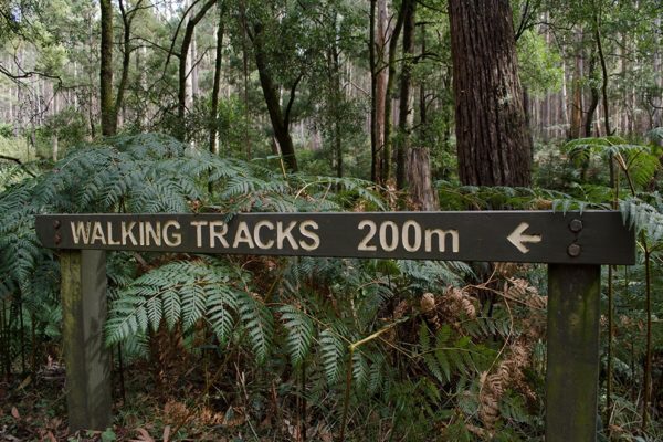 Close up image of 'walking tracks 200m' signage at the start of the Beeripmo walk