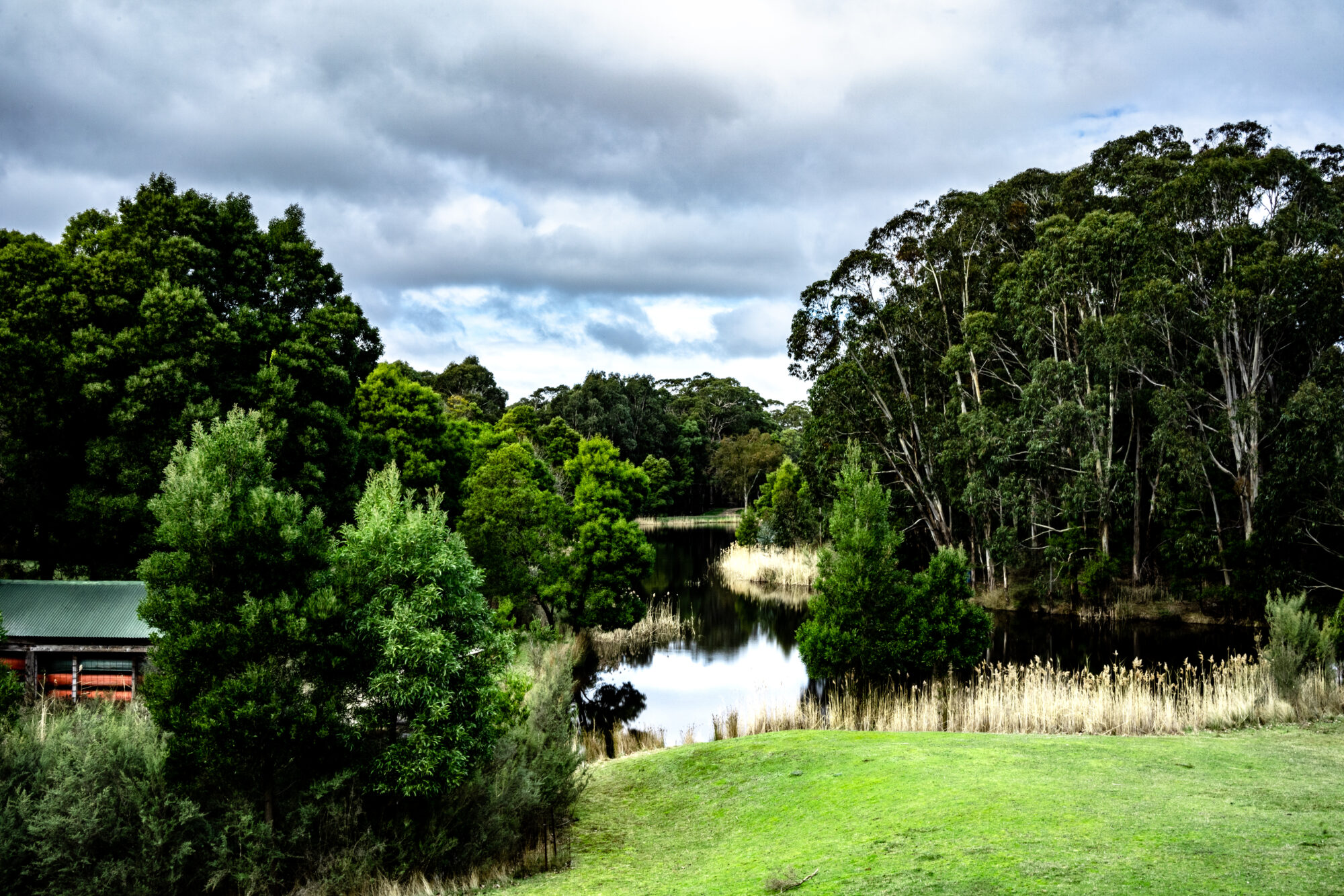 Image of Cave Hill Creek camp setting with grass, creek and trees in background