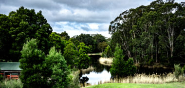 Image of Cave Hill Creek camp setting with grass, creek and trees in background