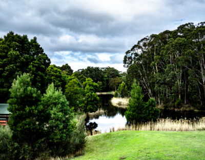 Image of Cave Hill Creek camp setting with grass, creek and trees in background