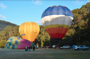 Image of hot air balloons being inflated in a field during early morning