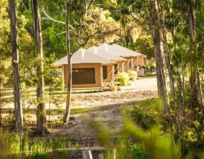 glamping-cave-hill-creek-compressed