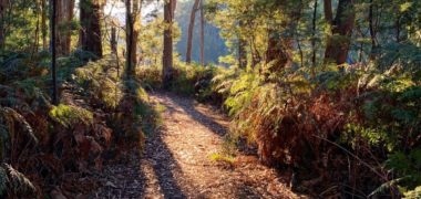 autumn-cave-hill-creek
