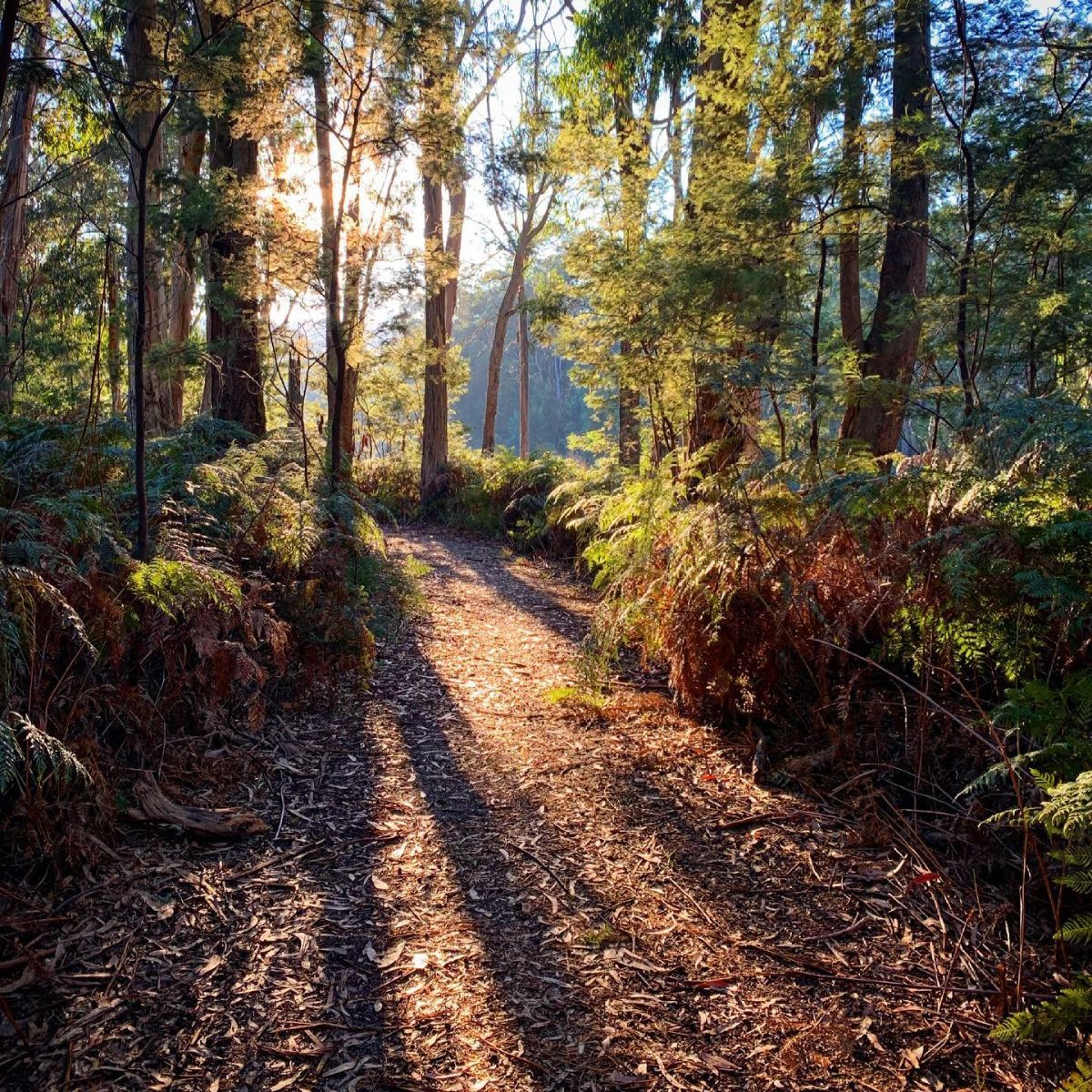 autumn-cave-hill-creek