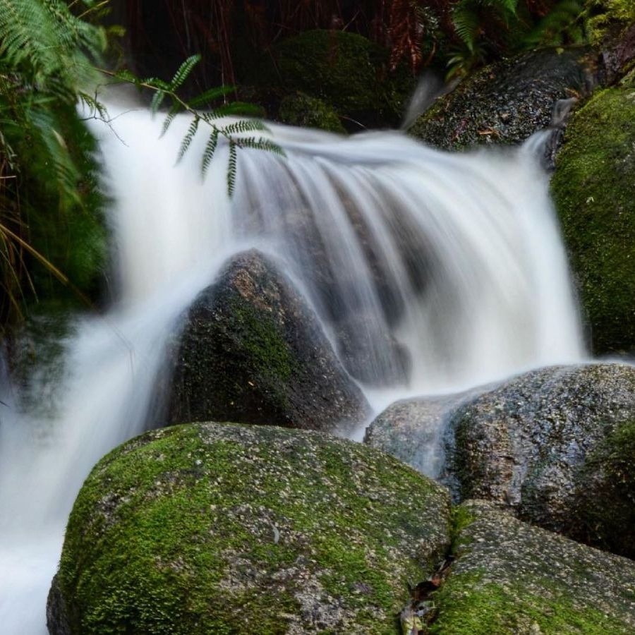 fern-tree-gully-waterfall