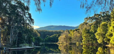 scenic trees and lake landscape