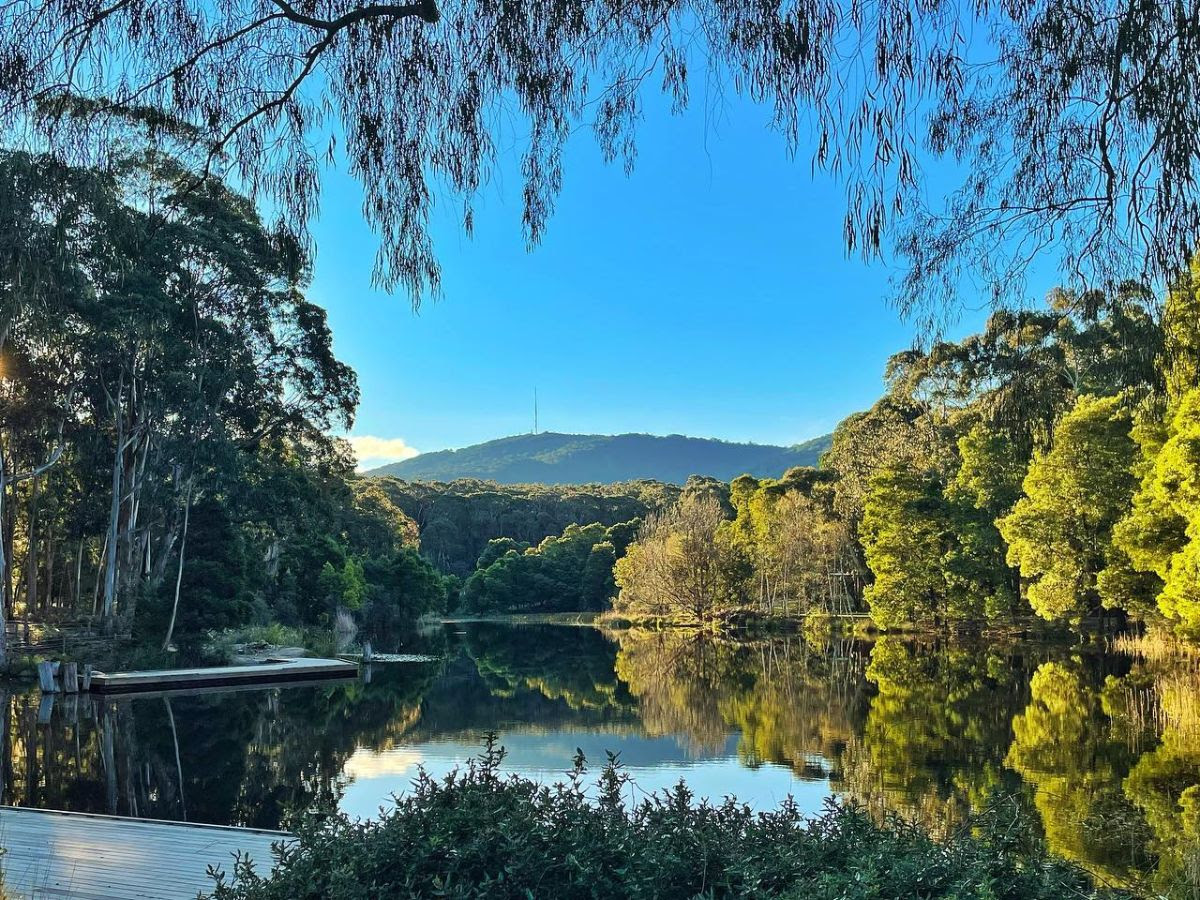 scenic trees and lake landscape