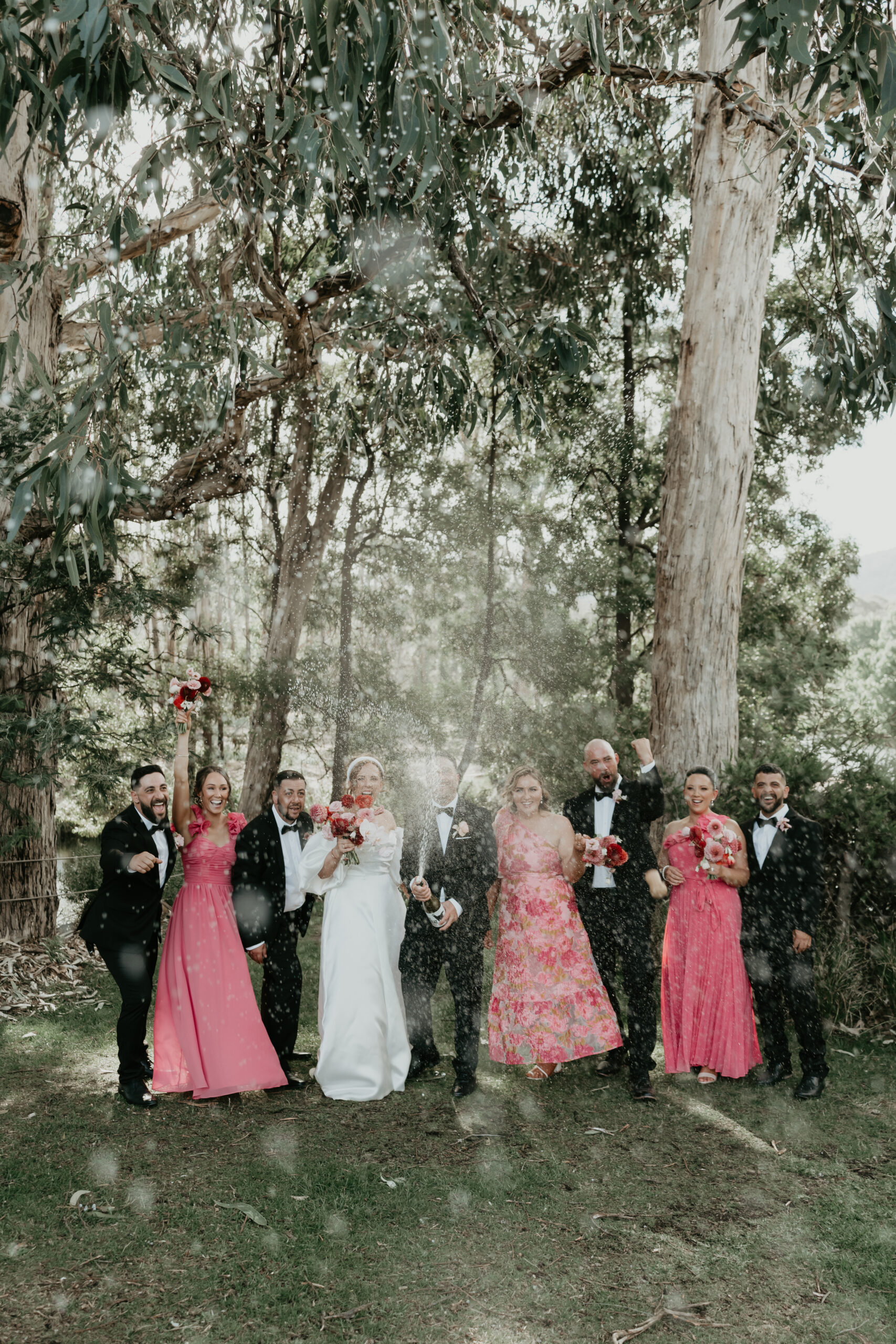 Wedding party celebrating beneath towering gum trees