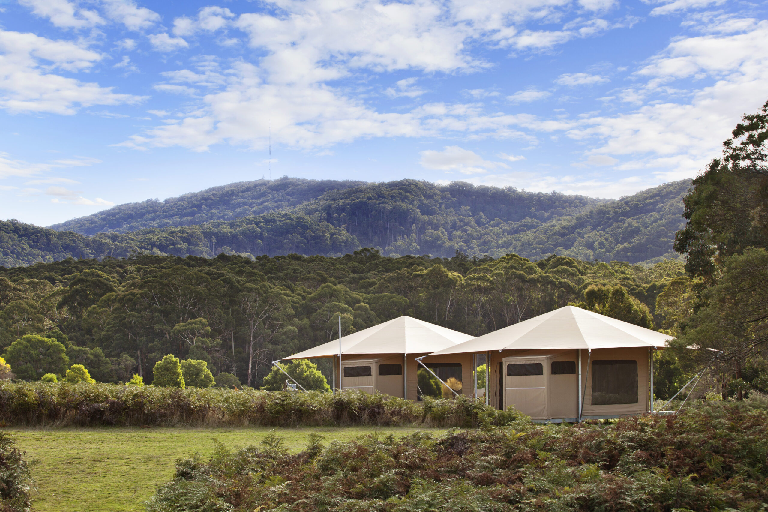 Glamping cabins with mountain views at Cave Hill Creek