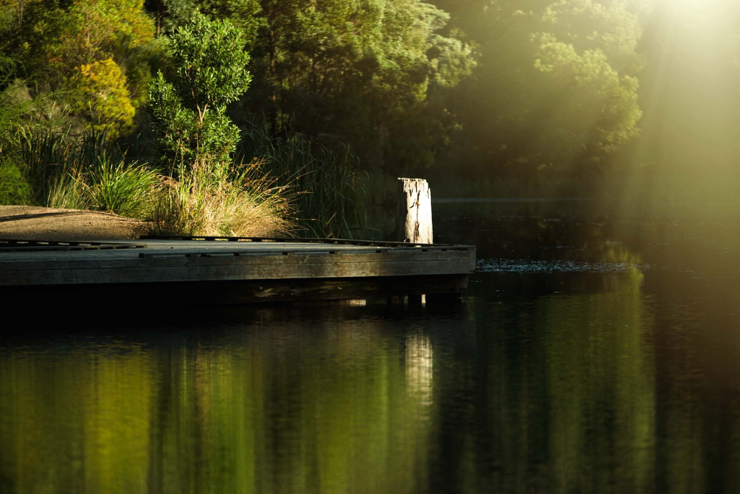 Cave Hill Creek