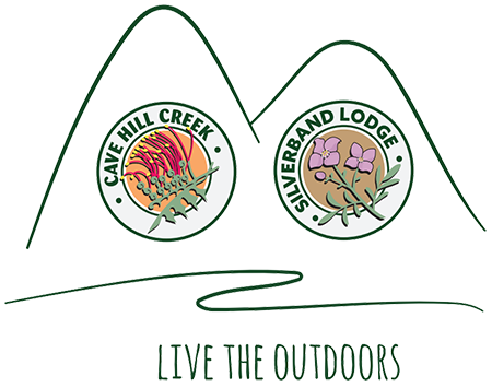 Our Story Among the Hills